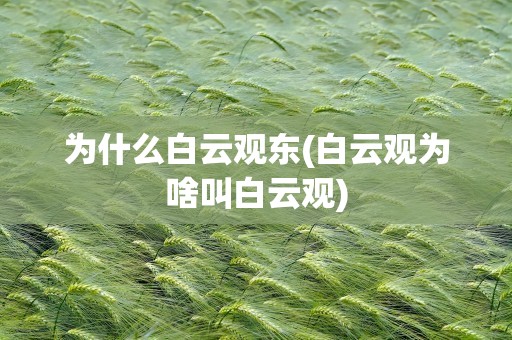 为什么白云观东(白云观为啥叫白云观)