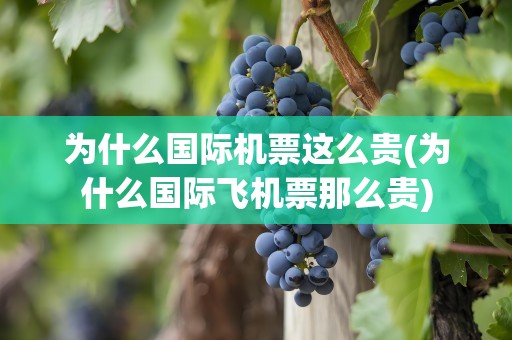 为什么国际机票这么贵(为什么国际飞机票那么贵)
