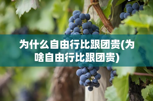 为什么自由行比跟团贵(为啥自由行比跟团贵)