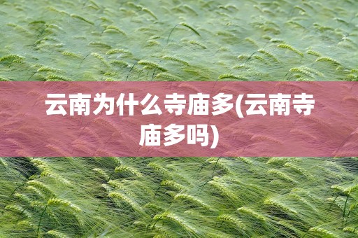 云南为什么寺庙多(云南寺庙多吗)