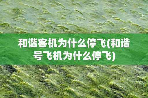 和谐客机为什么停飞(和谐号飞机为什么停飞)