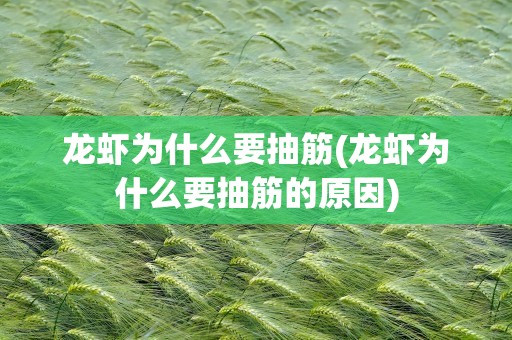 龙虾为什么要抽筋(龙虾为什么要抽筋的原因)