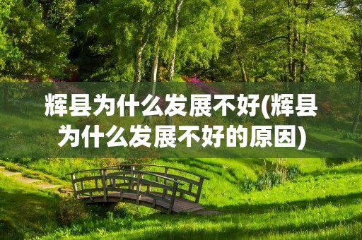 辉县为什么发展不好(辉县为什么发展不好的原因)
