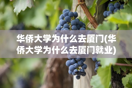 华侨大学为什么去厦门(华侨大学为什么去厦门就业)