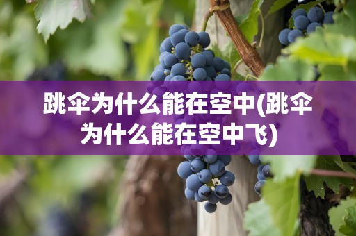 跳伞为什么能在空中(跳伞为什么能在空中飞)