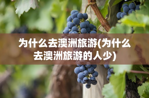 为什么去澳洲旅游(为什么去澳洲旅游的人少)