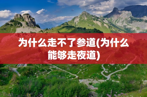 为什么走不了参道(为什么能够走夜道)