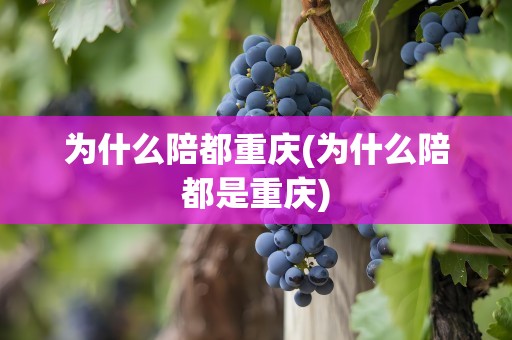 为什么陪都重庆(为什么陪都是重庆)