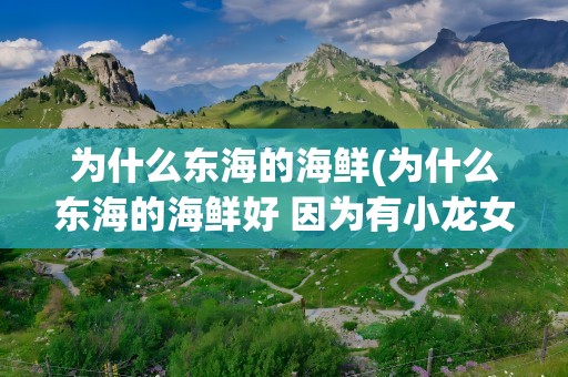 为什么东海的海鲜(为什么东海的海鲜好 因为有小龙女)