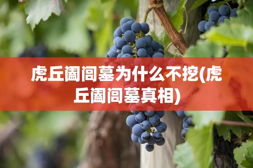 虎丘阖闾墓为什么不挖(虎丘阖闾墓真相)