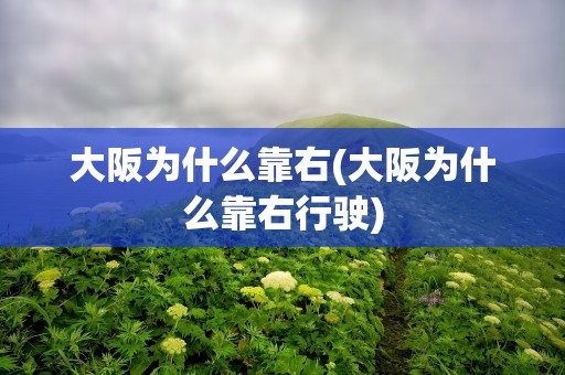 大阪为什么靠右(大阪为什么靠右行驶)