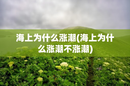 海上为什么涨潮(海上为什么涨潮不涨潮)