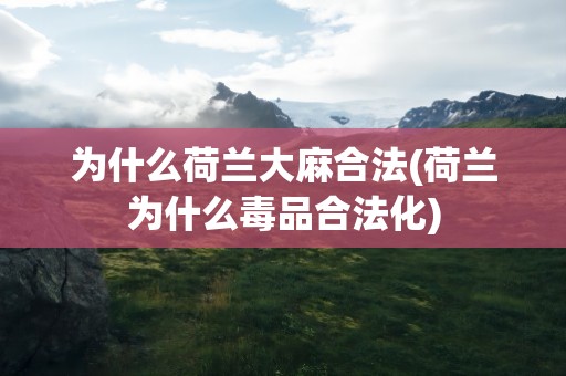 为什么荷兰大麻合法(荷兰为什么毒品合法化)