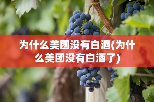 为什么美团没有白酒(为什么美团没有白酒了)