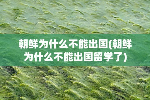 朝鲜为什么不能出国(朝鲜为什么不能出国留学了)