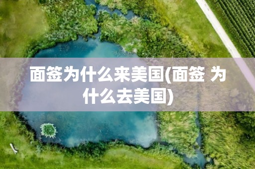 面签为什么来美国(面签 为什么去美国)