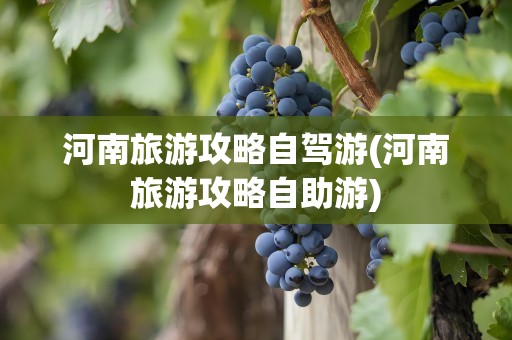 河南旅游攻略自驾游(河南旅游攻略自助游)