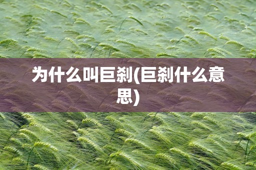 为什么叫巨刹(巨刹什么意思)