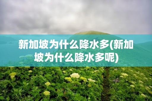 新加坡为什么降水多(新加坡为什么降水多呢)