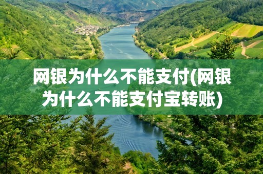 网银为什么不能支付(网银为什么不能支付宝转账)