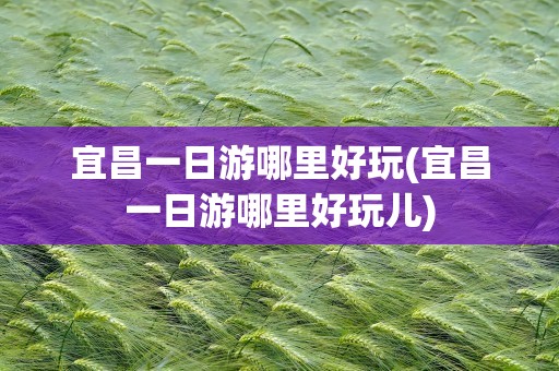宜昌一日游哪里好玩(宜昌一日游哪里好玩儿)