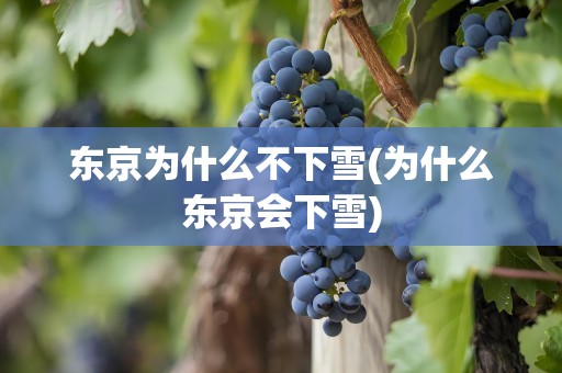 东京为什么不下雪(为什么东京会下雪)