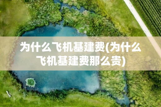 为什么飞机基建费(为什么飞机基建费那么贵)