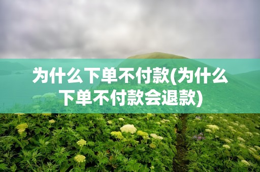为什么下单不付款(为什么下单不付款会退款)