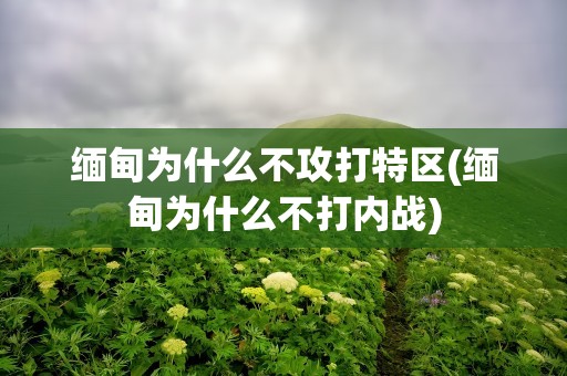 缅甸为什么不攻打特区(缅甸为什么不打内战)