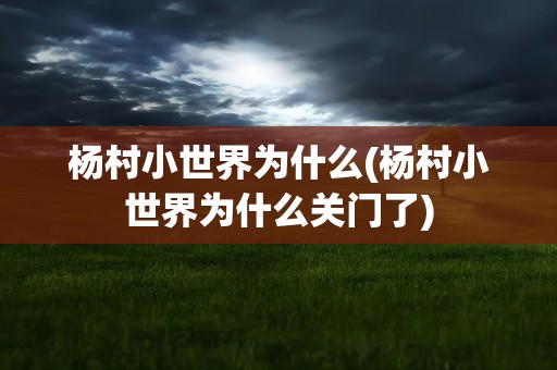 杨村小世界为什么(杨村小世界为什么关门了)