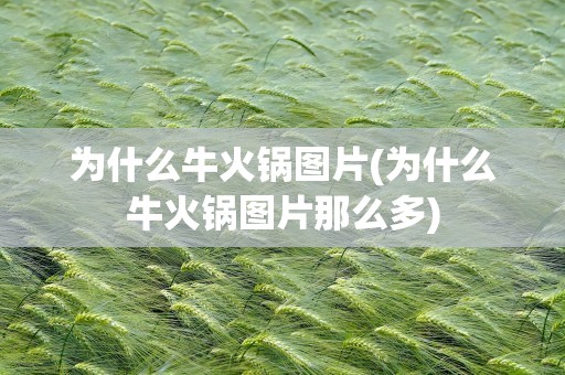 为什么牛火锅图片(为什么牛火锅图片那么多)