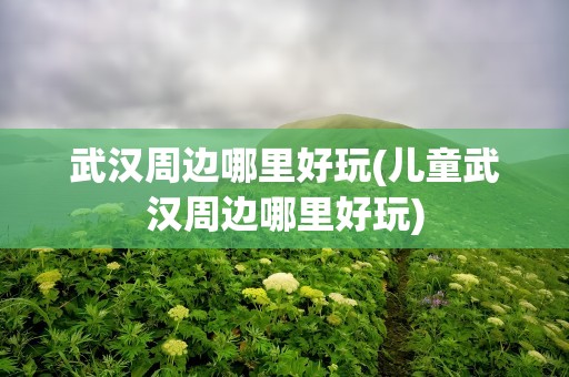 武汉周边哪里好玩(儿童武汉周边哪里好玩)