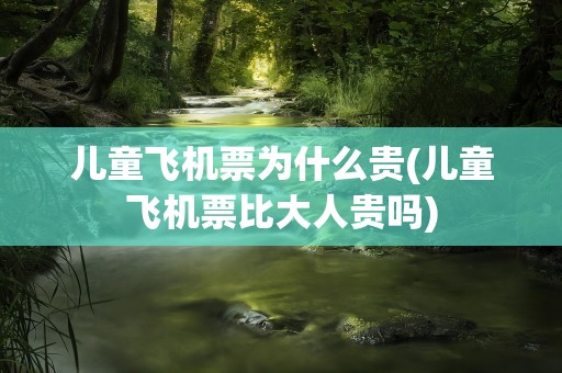 儿童飞机票为什么贵(儿童飞机票比大人贵吗)
