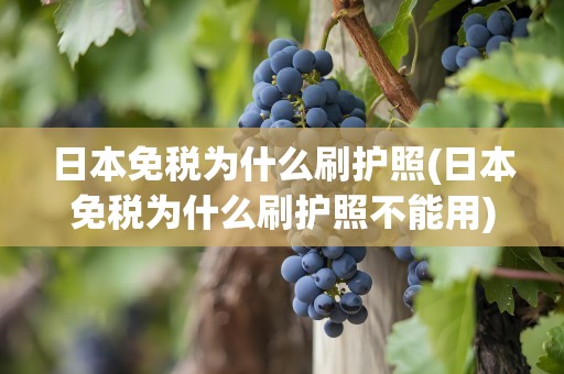 日本免税为什么刷护照(日本免税为什么刷护照不能用)