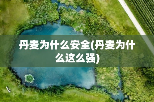 丹麦为什么安全(丹麦为什么这么强)