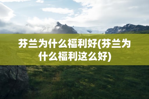 芬兰为什么福利好(芬兰为什么福利这么好)