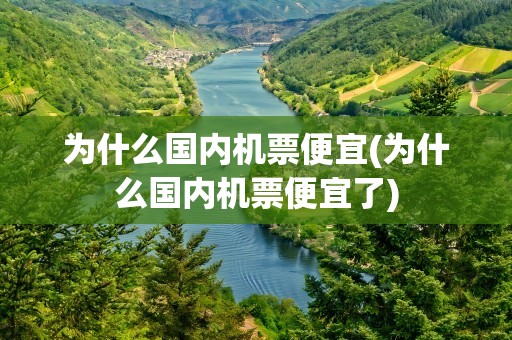 为什么国内机票便宜(为什么国内机票便宜了)