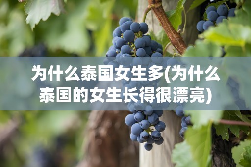 为什么泰国女生多(为什么泰国的女生长得很漂亮)