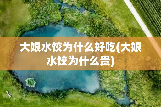 大娘水饺为什么好吃(大娘水饺为什么贵)