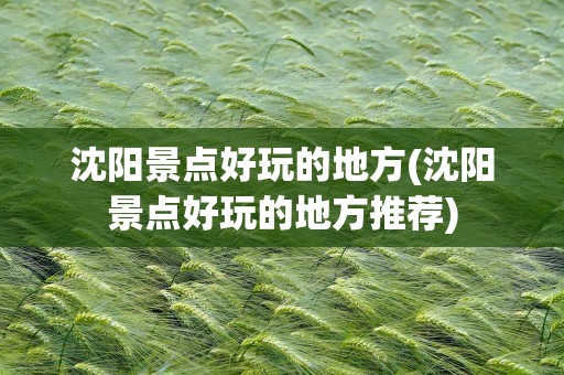沈阳景点好玩的地方(沈阳景点好玩的地方推荐)