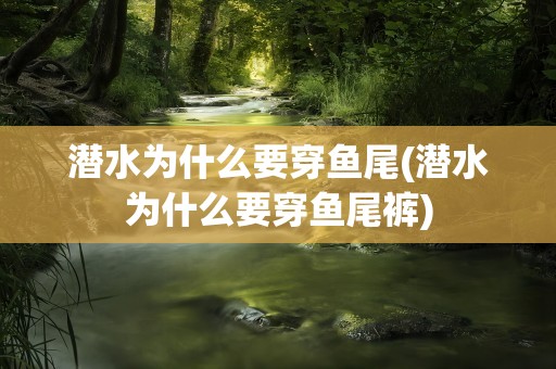 潜水为什么要穿鱼尾(潜水为什么要穿鱼尾裤)