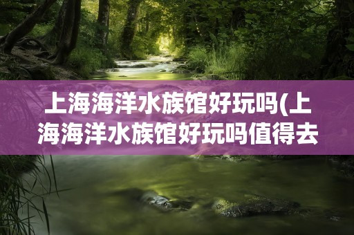 上海海洋水族馆好玩吗(上海海洋水族馆好玩吗值得去吗)