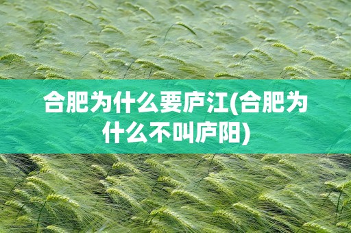 合肥为什么要庐江(合肥为什么不叫庐阳)