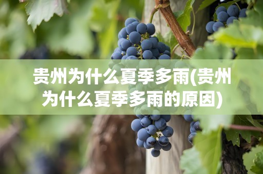 贵州为什么夏季多雨(贵州为什么夏季多雨的原因)