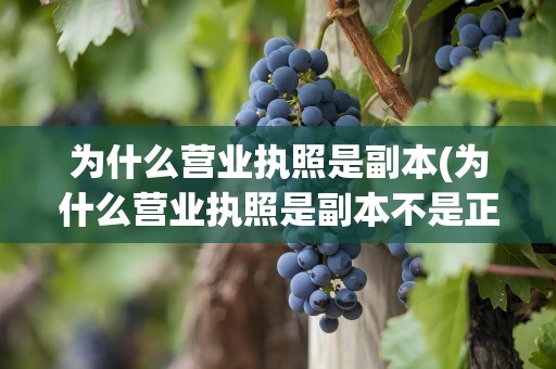 为什么营业执照是副本(为什么营业执照是副本不是正本)