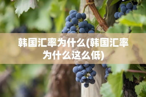 韩国汇率为什么(韩国汇率为什么这么低)