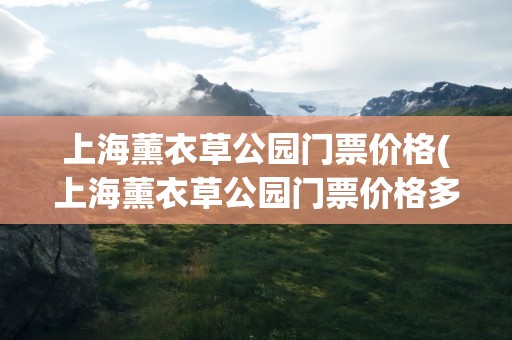 上海薰衣草公园门票价格(上海薰衣草公园门票价格多少)