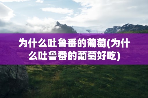 为什么吐鲁番的葡萄(为什么吐鲁番的葡萄好吃)