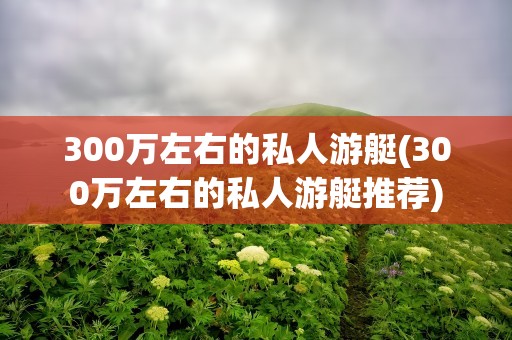 300万左右的私人游艇(300万左右的私人游艇推荐)