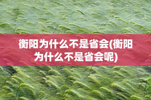 衡阳为什么不是省会(衡阳为什么不是省会呢)